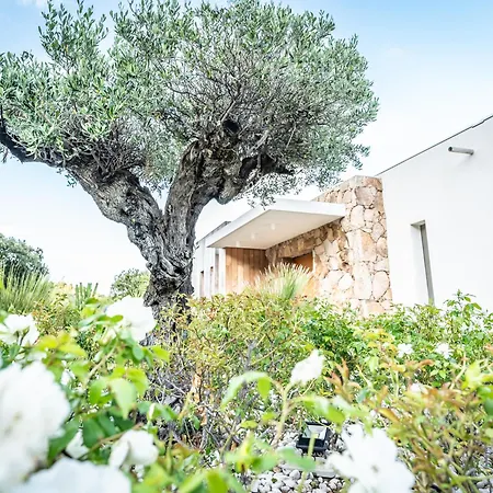 Porto-vecchio Palombaggia Azaitu וילה