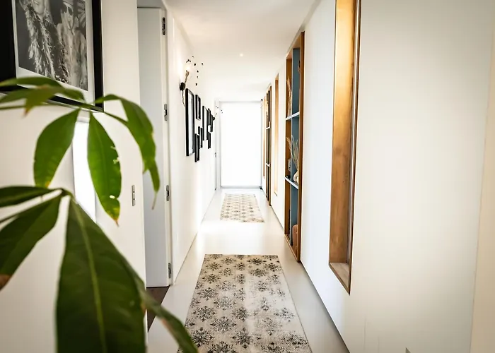 Porto-vecchio Palombaggia Azaitu