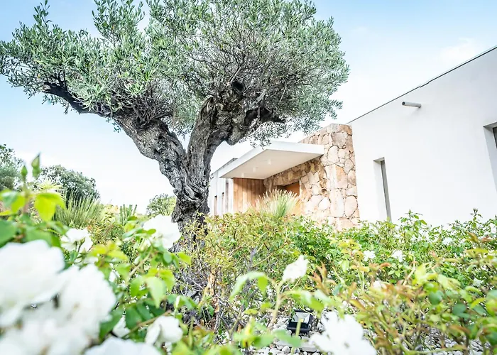 Porto-vecchio Palombaggia Azaitu וילה