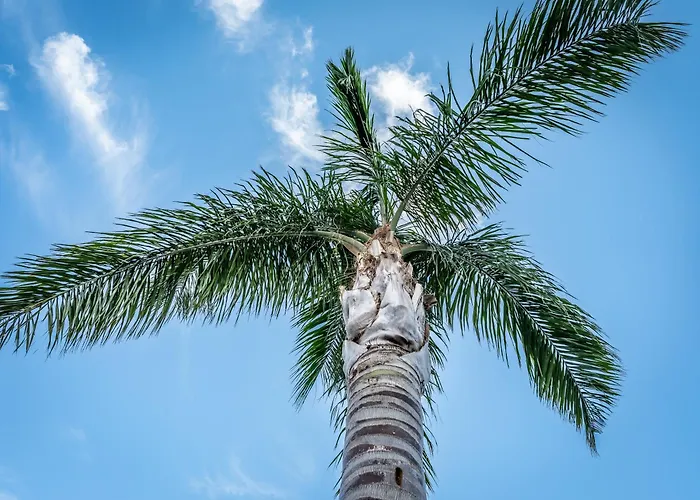 וילה Porto-vecchio Palombaggia Azaitu פורטו-וישיו