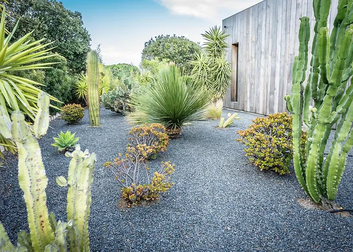 וילה Porto-vecchio Palombaggia Azaitu פורטו-וישיו