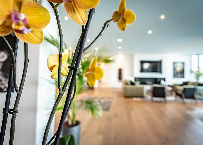 Porto-vecchio Palombaggia Azaitu *