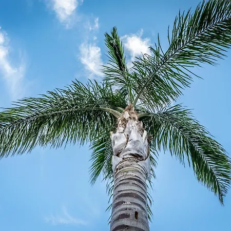 Villa Porto-vecchio Palombaggia Azaïtù Porto Vecchio