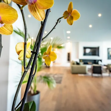 Porto-vecchio Palombaggia Azaitu *